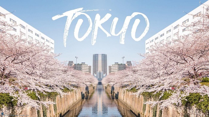du lịch Tokyo tự túc 1