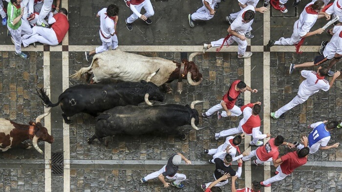  lý do nên đi tour Tây Ban Nha nhất định cuốn hút du khách với lễ hội bò đuổi