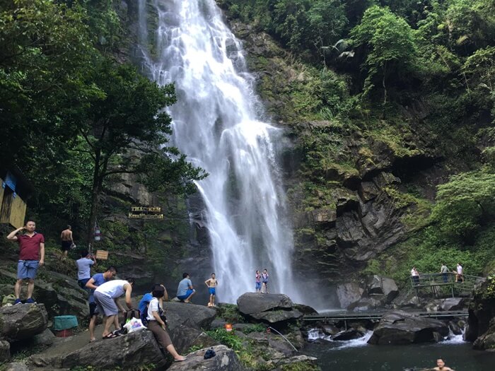 Điểm đến tour Nghệ An mà nhiều hành khách hay ghé là vườn quốc gia Pù Mát