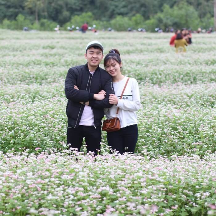 Vườn hoa tam giác mạch cũng là điểm đến tour Nghệ An mà bạn nên ghé thăm