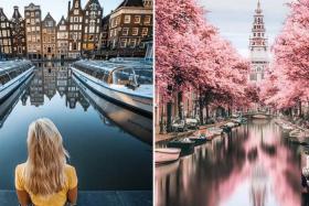 7 bí quyết mua tour Hà Lan giá rẻ bạn không nên bỏ lỡ