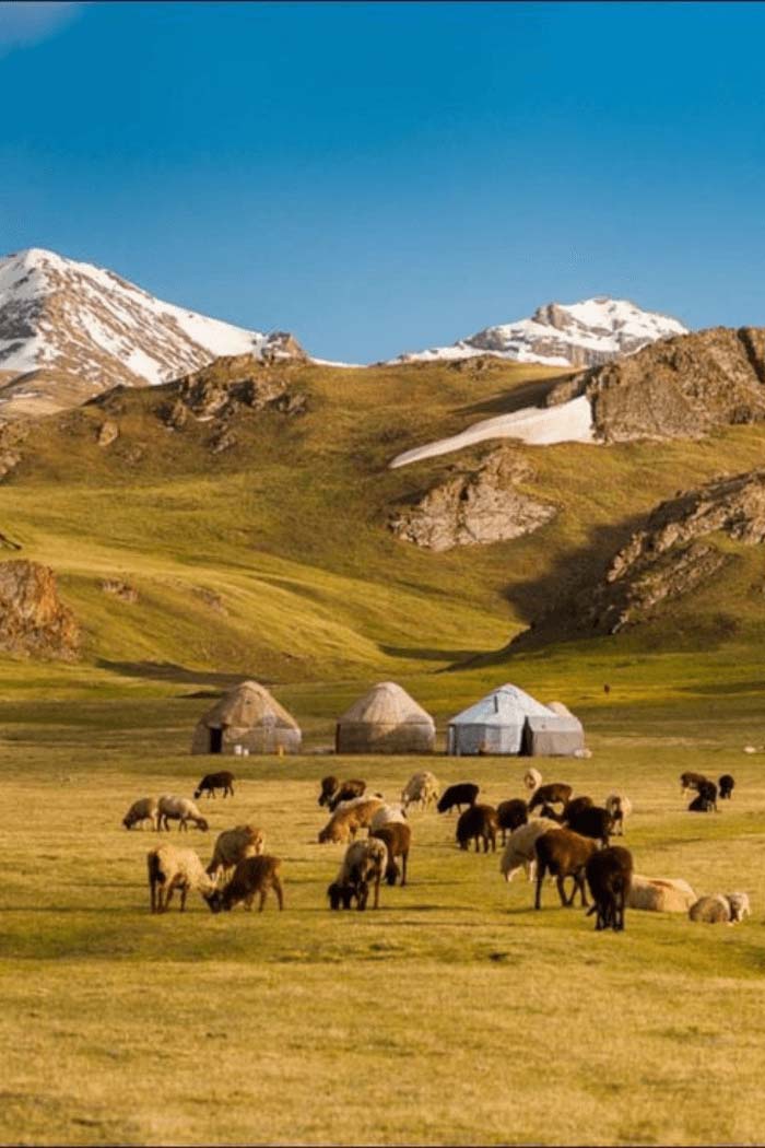 Chi phí đi tour Mông Cổ và danh sách các loại chi phí