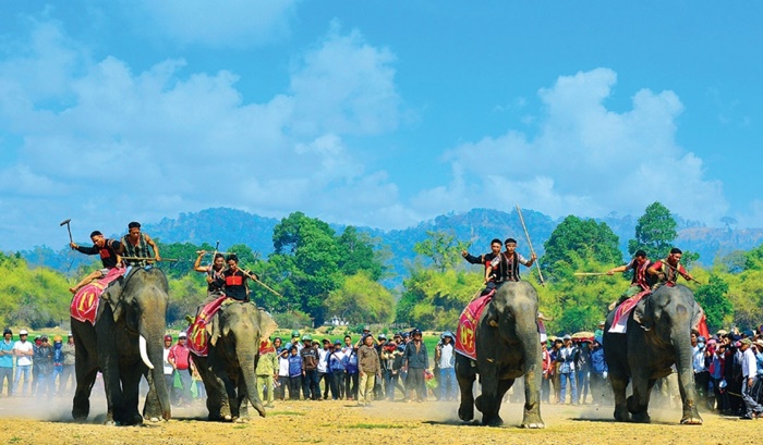 Đi tour Kon Tum chơi gì? Nhớ tham gia trải nghiệm cưỡi voi