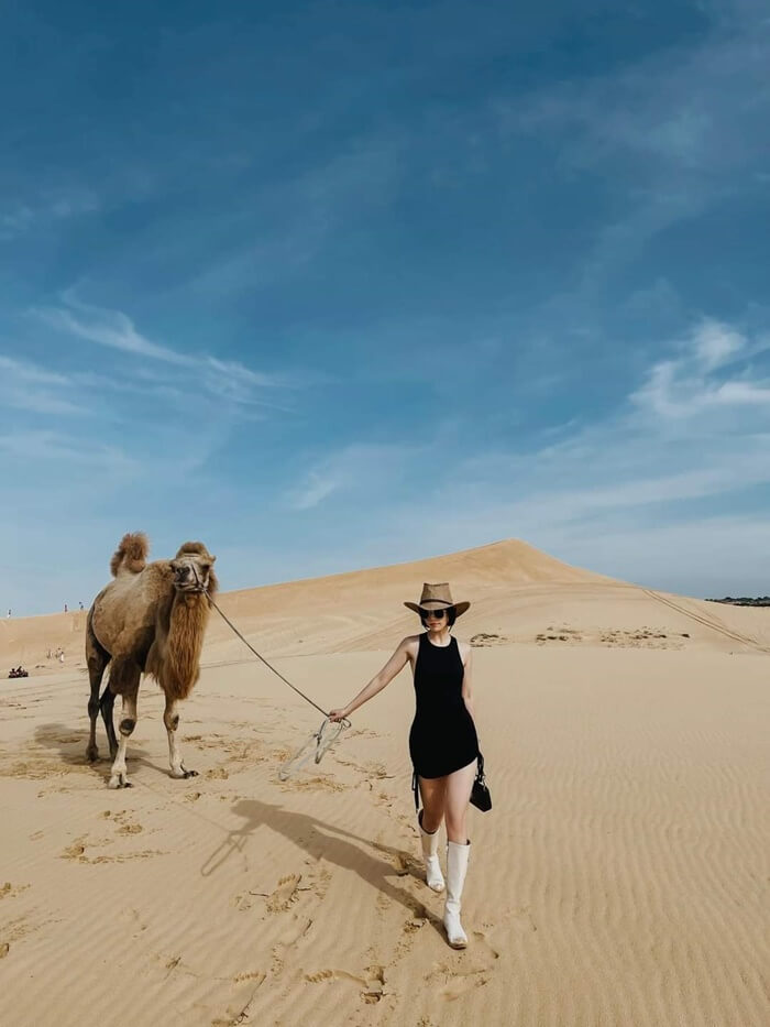 Review tour Phan Thiết 3 ngày 2 đêm trải nghiệm cưỡi ngựa trên đồi cát bay