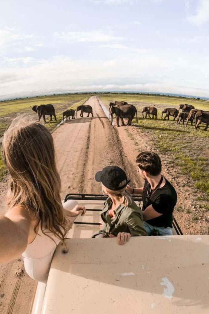 Tại sao nên đi tour Nam Phi? Vì Nam Phi sở hữu thiên nhiên hoang dã, độc đáo