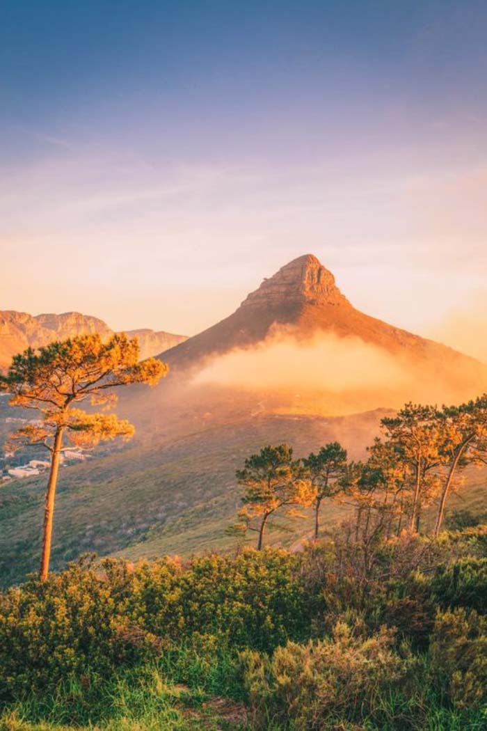 Tại sao nên đi tour Nam Phi? 6 lý do nhất định bạn nên tham khảo