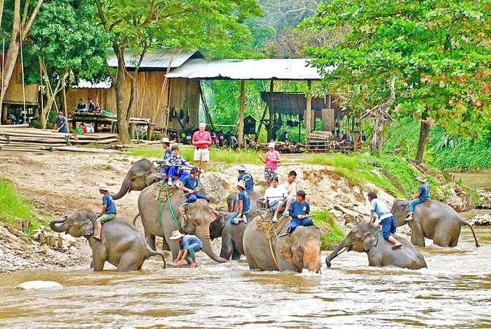 Khu bảo tồn voi Mae Taeng