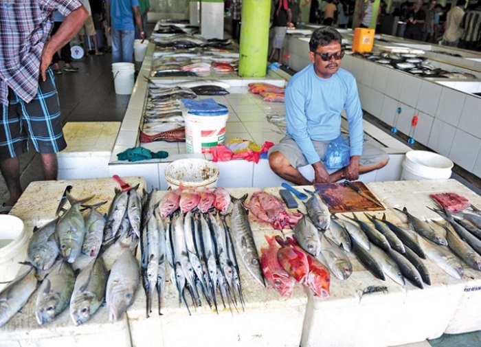 Chợ cá địa phương