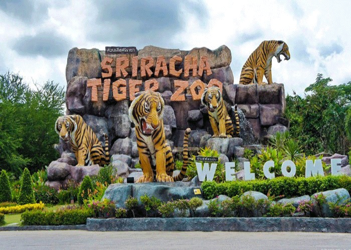 Trại hổ Thái Lan