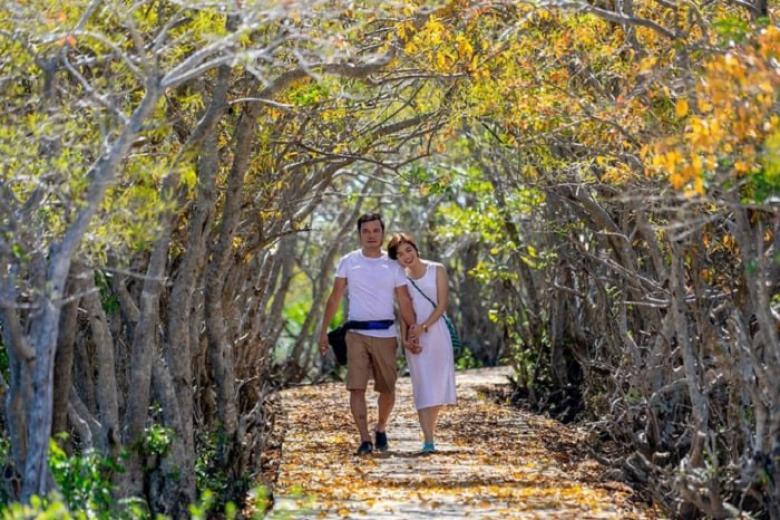 Check-in ở rừng Rú Chá