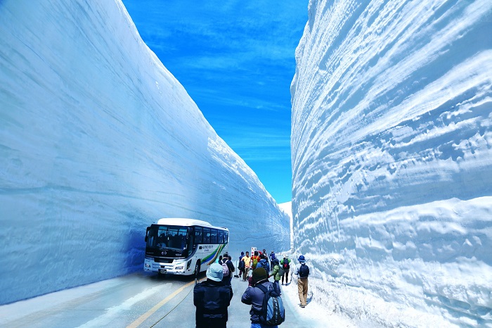 Cung đường tuyết Nhật Bản – Tateyama Kurobe Alpine Route