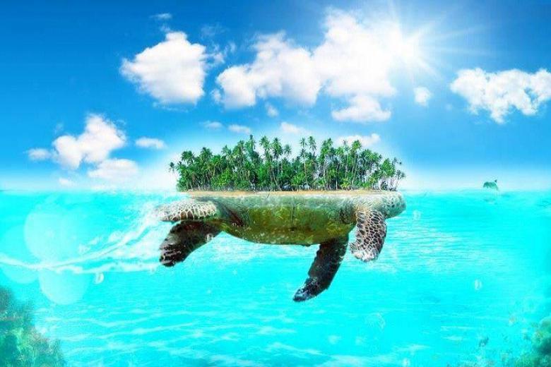 Đảo Rùa
