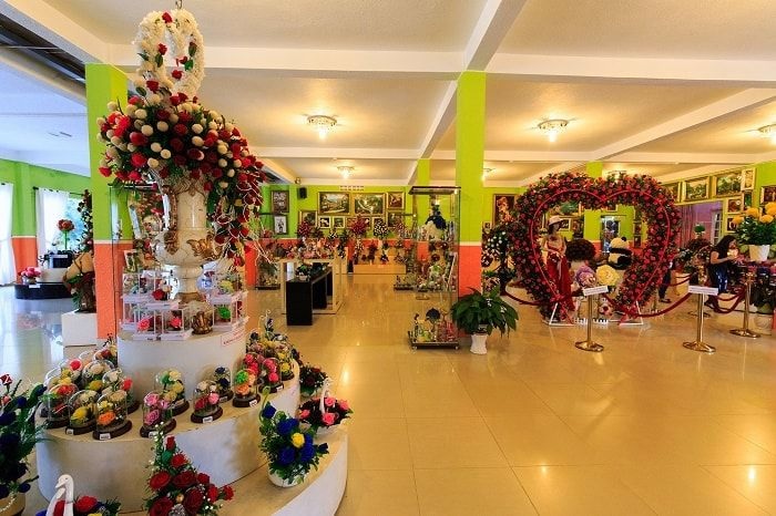Du lịch Nha Trang:Showroom hoa khô nghệ thuật 