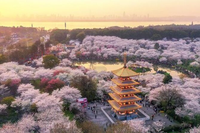  Công Viên Đồng Hồ sở hữu diện tích danh lam thắm cảnh lên tới 82 km2 