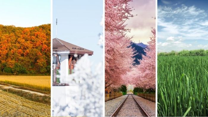 Du ngoạn Seoul mỗi mùa trong năm đều có nét đẹp riêng rất hấp dẫn (Nguồn: gody.vn)