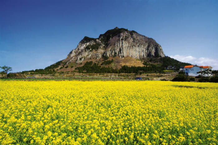 Núi Sanbang ấn tượng trên Đảo Jeju