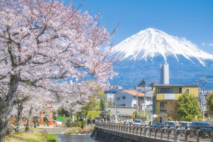 Cảnh đẹp thiên nhiên hút mắt ở thành phố Fuji Nhật Bản ( Nguồn: .fun-japan.jp)