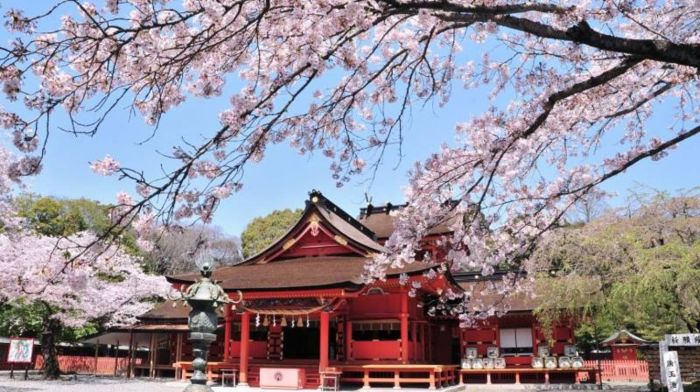 Chiêm bái ngôi đền thờ Fujisan Hongu Sengen Taisha cổ kính (Nguồn: vn.zekkeijapan.com)
