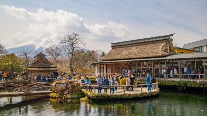 Nên tìm tour Yamanashi ở địa chỉ lữ hành đáng tin cậy 