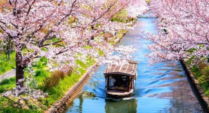 Cảnh đẹp mùa Xuân ở Yamanashi là thời điểm hoàn hảo để bạn check in 