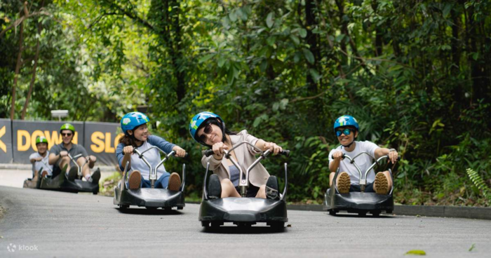  Skyline Luge Sentosa - Trải nghiệm đua xe trượt thú vị