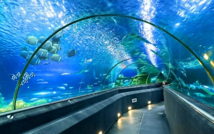  Thủy Cung Aquaria KLCC