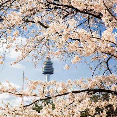 Tour Hàn Quốc 5N4Đ Khám phá Seoul - Nami - Everland - Ngắm hoa anh đào - Rừng Seoul, Bay Jeju Air + KS 3,4*, khởi hành từ Hà Nội, giá ưu đãi
