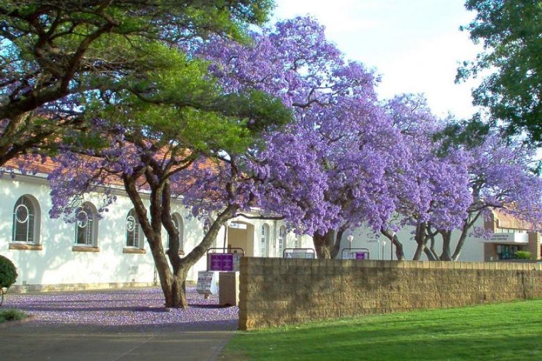 Thành phố thủ đô Pretoria