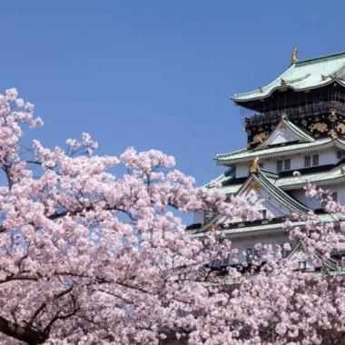 Tour Nhật Bản 6N5Đ ngắm hoa anh đào khám phá Tokyo - Hankone - Yamanashi - Fuji - Nagoya - Osaka, Bay Vietnam Airlines + KS 3,4*, khởi hành từ HCM