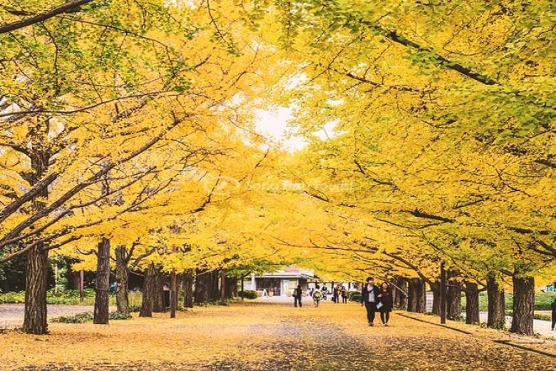 Công viên Meiji Jingu Gaien