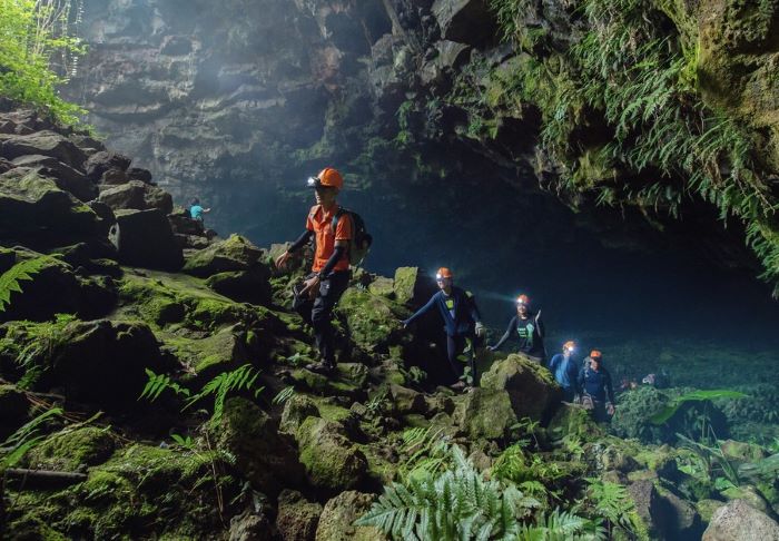 Khám phá hệ sinh thái đa dạng trong công viên địa chất khi đi tour Đăk Nông