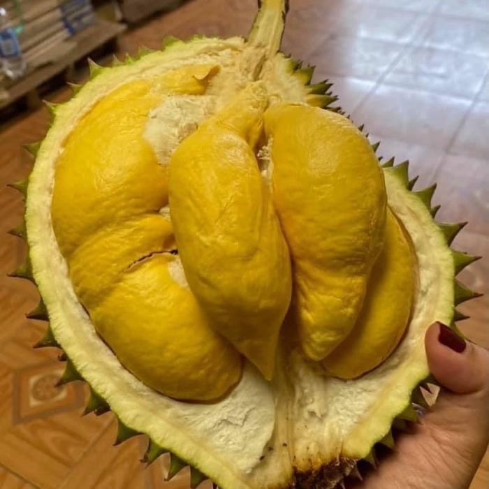 Các loại chất lượng, thơm ngon