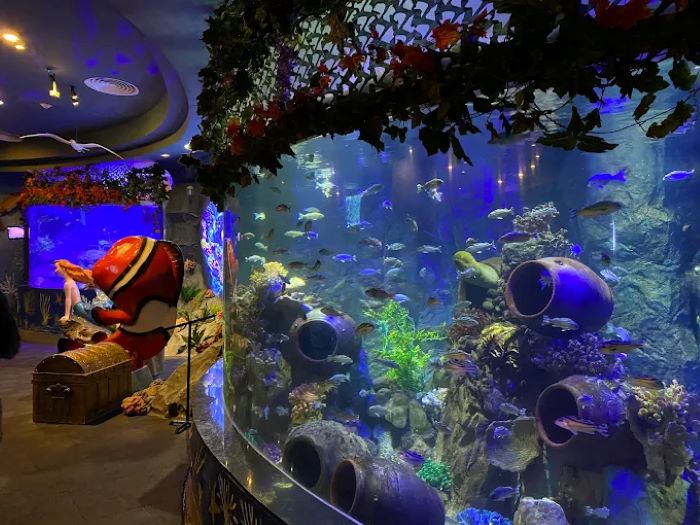 Khám phá thế giới đại dương trong tour Vinwonder Nha Trang