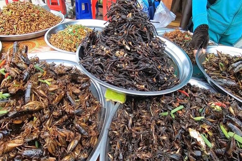 Chợ côn trùng