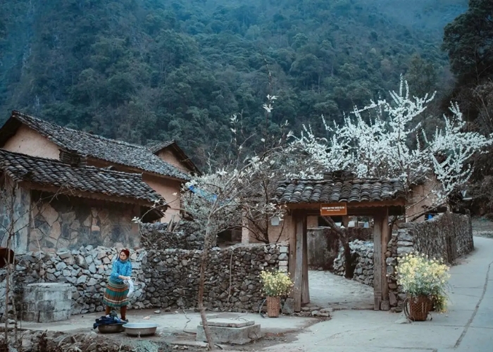 Đi tour Cao Nguyên Đá Đồng Văn nên lên lịch trình trước để tiết kiệm thời gian