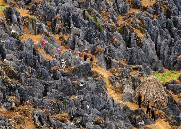 Chọn tour Cao Nguyên Đá Đồng Văn phù hợp với lịch trình sẽ giúp bạn có trải nghiệm tốt hơn