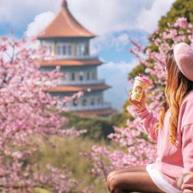 Tour Đài Loan 5N4Đ Tết AL Khám Phá Đài Bắc - Đài Trung - Cao Hùng, Chương trình du xuân ngắm hoa đào sớm, Bay China Airlines, khởi hành từ Hà Nội