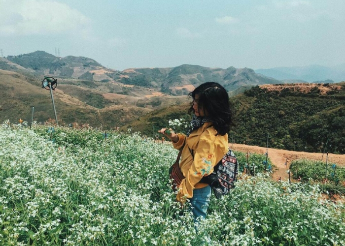 Nên lựa chọn thời gian phù hợp để đi tour đèo Pha Đin