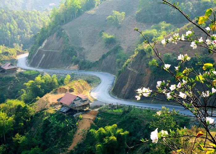 Thời điểm lý tưởng nhất để khám phá tour đèo Pha Đin là mùa xuân