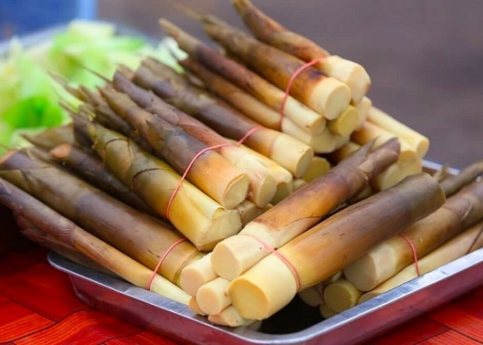 Măng đắng là món ăn dân dã nhưng lại mang hương vị đặc trưng của vùng núi Hòa Bình Măng đắng là món ăn dân dã nhưng lại mang hương vị đặc trưng của vùng núi Hòa Bình