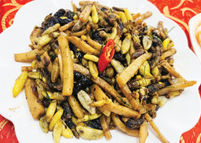 Ong rừng xào măng món ăn rất đáng để thử khi du lịch Hòa Bình Ong rừng xào măng món ăn rất đáng để thử khi du lịch Hòa Bình