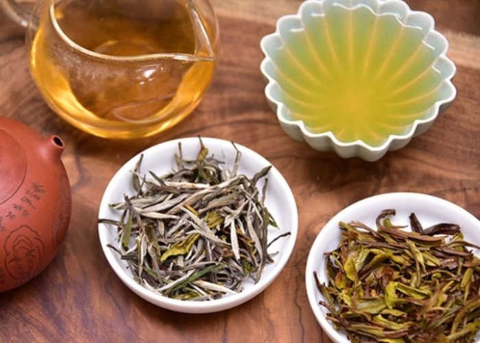 Chè Shan Tuyết món quà ý nghĩa dành cho những ai yêu thích trà Chè Shan Tuyết món quà ý nghĩa dành cho những ai yêu thích trà