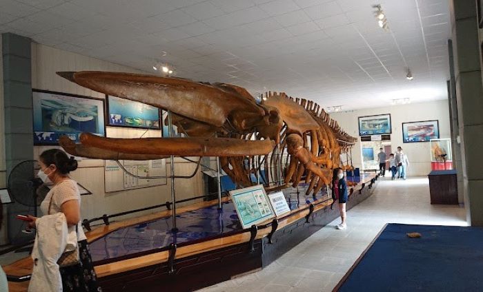 Tour Nha Trang ở Viện Hải dương học