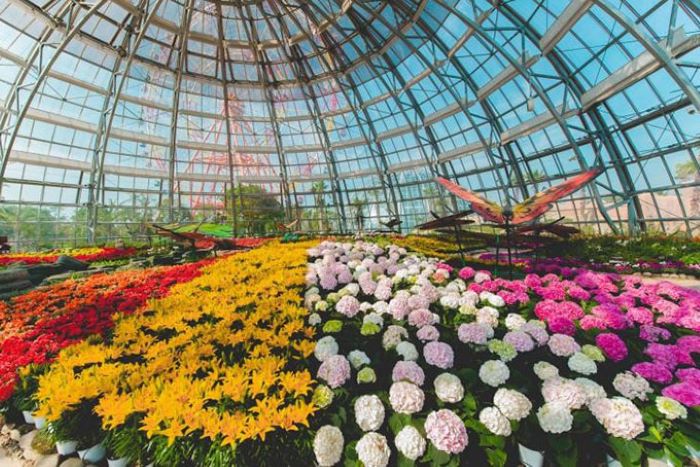 Rất nhiều loài hoa rực rỡ trong vườn thực vật ở tour Vinwonder Nha Trang
