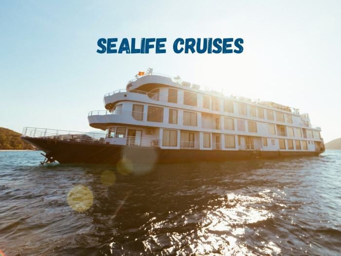 Seafile hải trình hấp dẫn cho du khách khám phá 
