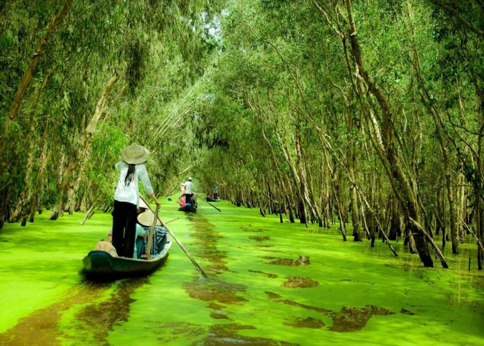 Rừng Tràm Trà Sư
