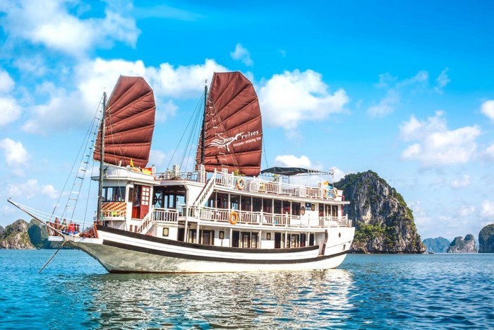 swan_cruise