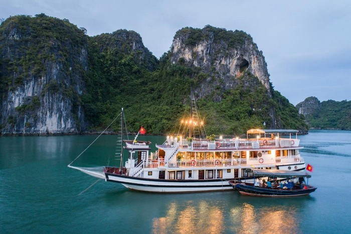swan_cruise2