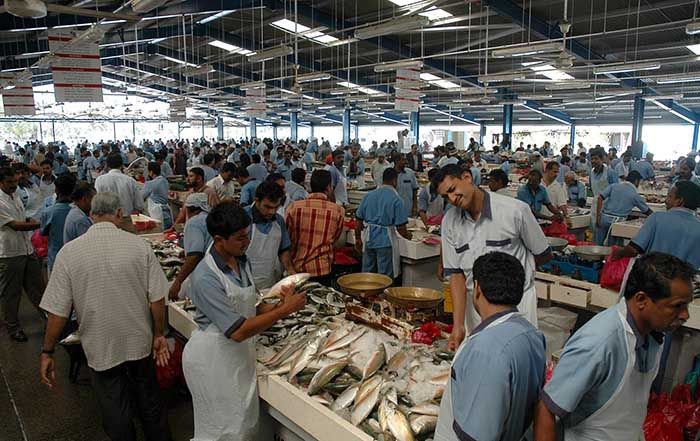 Chợ hải sản Dubai hoạt động đến tận khoảng 10 - 11 giờ khuya