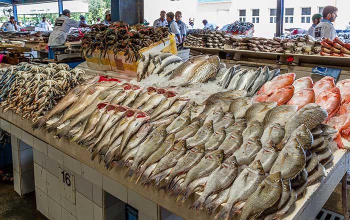 Ghé thăm chợ hải sản Dubai với vô số điều thú vị